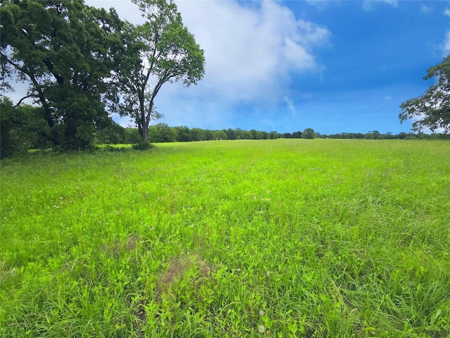 LOT50 Paradise Cv, Streetman, TX 75859