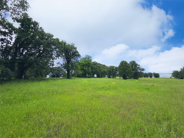 LOT50 Paradise Cv, Streetman, TX 75859