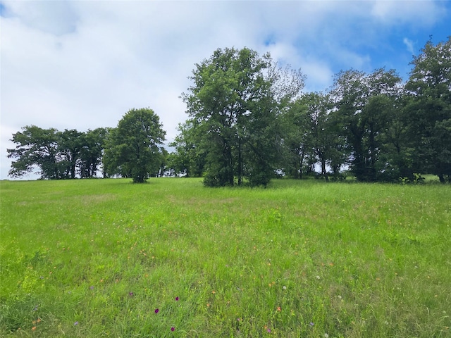 LOT50 Paradise Cv, Streetman, TX 75859