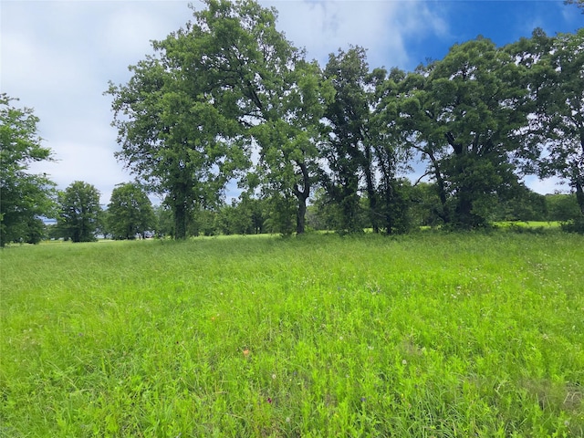 LOT50 Paradise Cv, Streetman, TX 75859