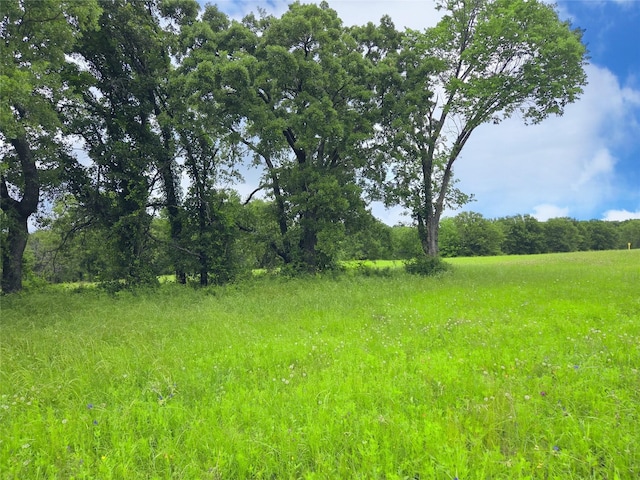 LOT50 Paradise Cv, Streetman, TX 75859