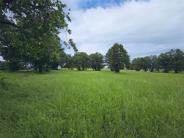 LOT50 Paradise Cv, Streetman, TX 75859