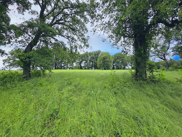 LOT50 Paradise Cv, Streetman, TX 75859