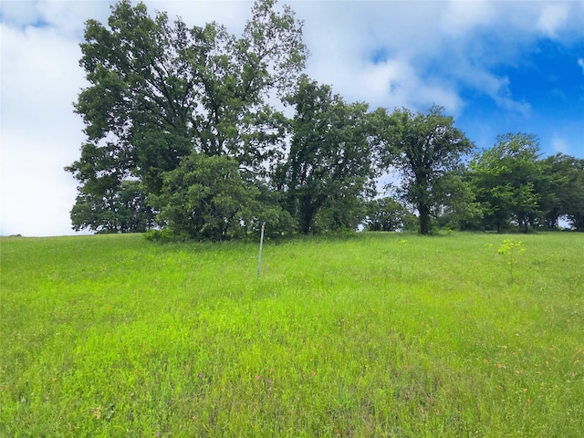 LOT50 Paradise Cv, Streetman, TX 75859