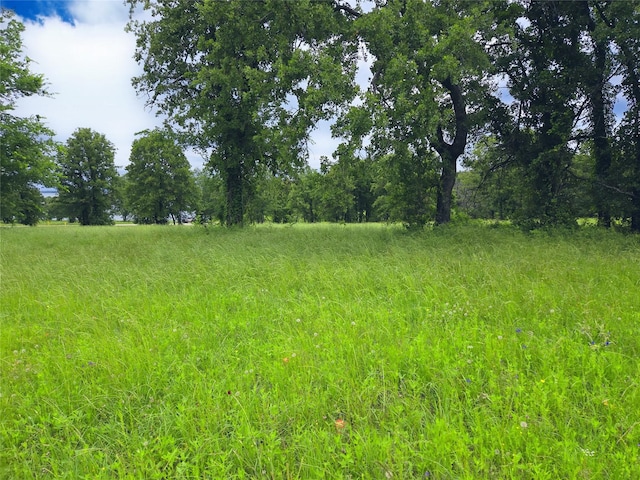 LOT50 Paradise Cv, Streetman, TX 75859