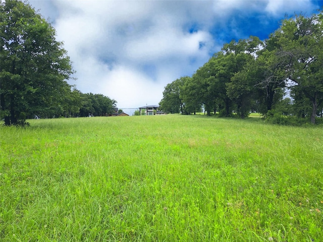 LOT50 Paradise Cv, Streetman, TX 75859