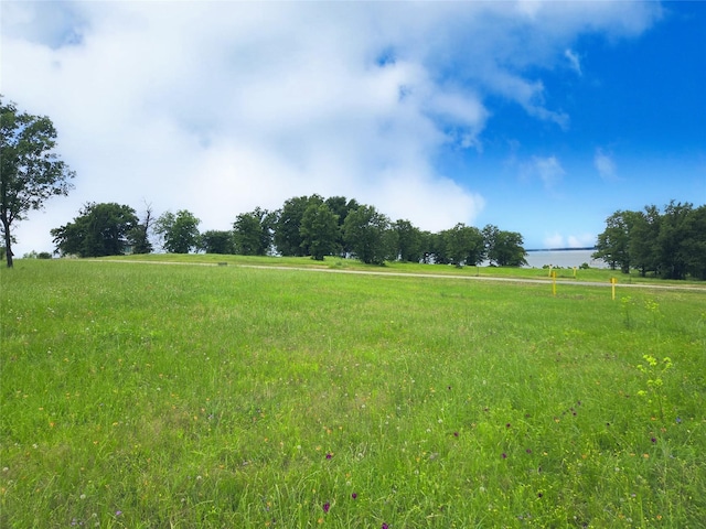 LOT50 Paradise Cv, Streetman, TX 75859