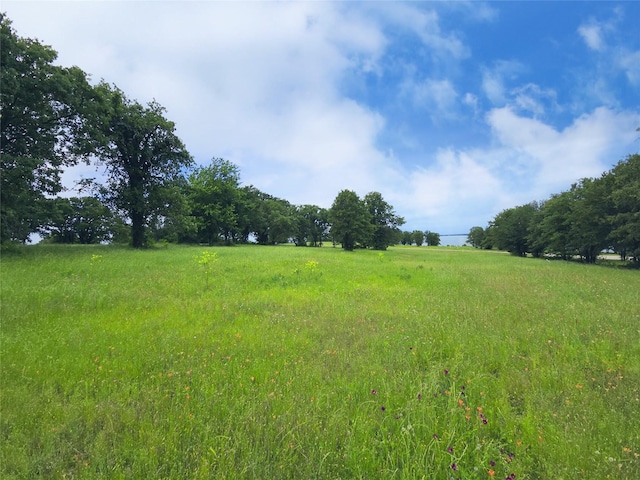 LOT50 Paradise Cv, Streetman, TX 75859