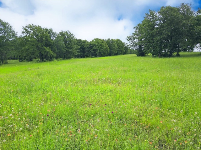 LOT50 Paradise Cv, Streetman, TX 75859