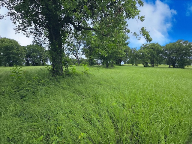 LOT50 Paradise Cv, Streetman, TX 75859