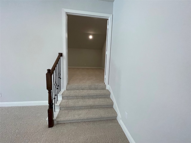 stairway with carpet flooring