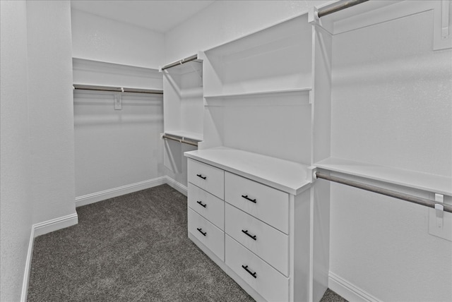 spacious closet featuring dark colored carpet