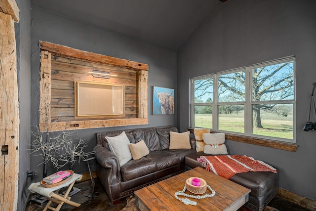 living room with vaulted ceiling