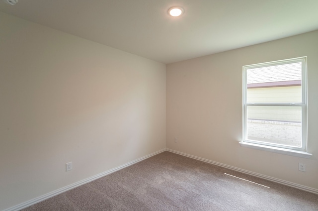 spare room featuring carpet flooring and a wealth of natural light