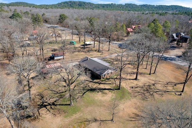 view of bird's eye view