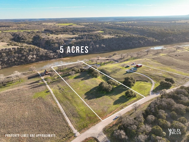 Listing photo 2 for LOT119 River Shoals Rd, Palo Pinto TX 76067