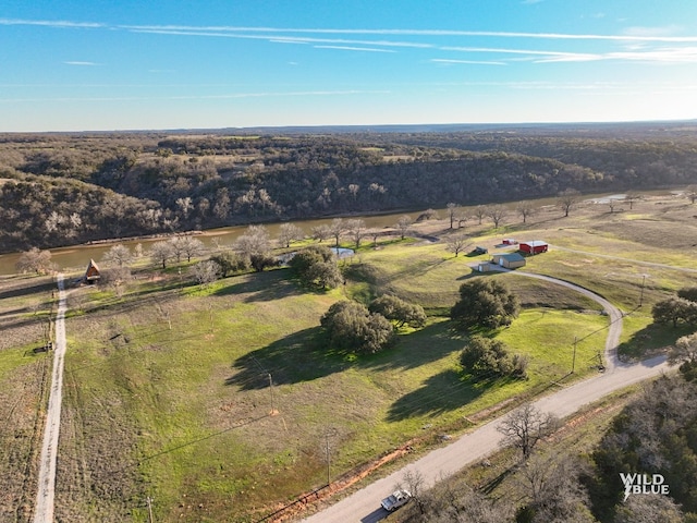 Listing photo 3 for LOT119 River Shoals Rd, Palo Pinto TX 76067