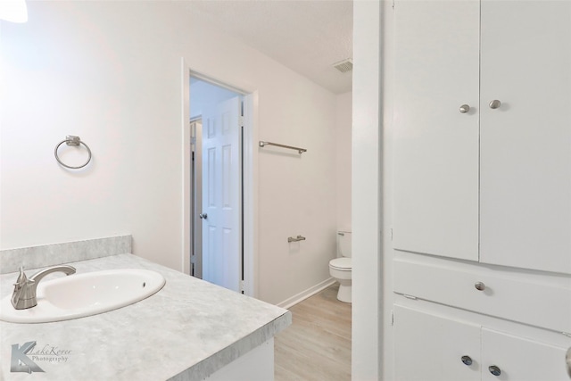 bathroom featuring toilet, vanity, and wood-type flooring