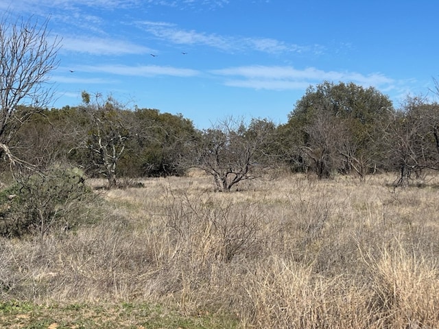 Listing photo 3 for TBD1 Summer Wind Dr, Brownwood TX 76801