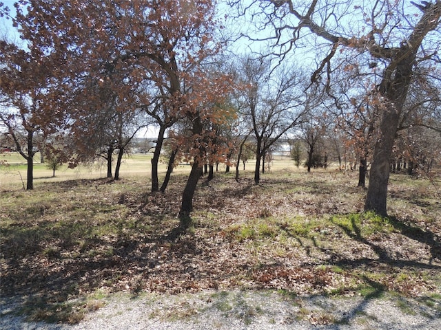 173 Oakwood Trl, Eastland TX, 76448 land for sale