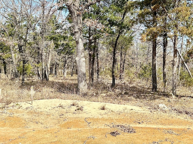 LOT17BLOCKA Castle Pines Cir, Gordonville TX, 76245 land for sale