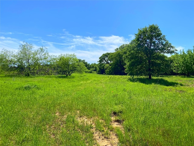 Listing photo 2 for TBD Fm 1125, Bowie TX 76230