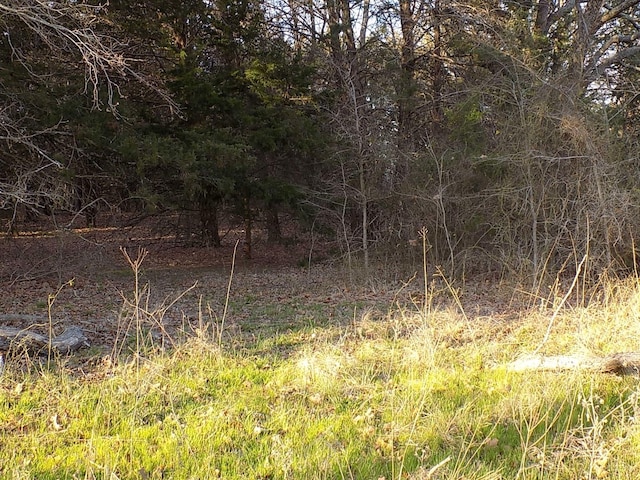 TBD Rs County Road 3410, Emory, TX 75440