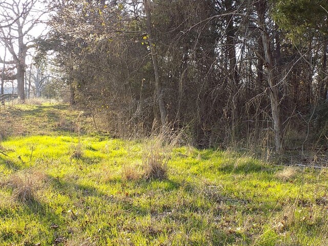 TBD Rs County Road 3410, Emory, TX 75440
