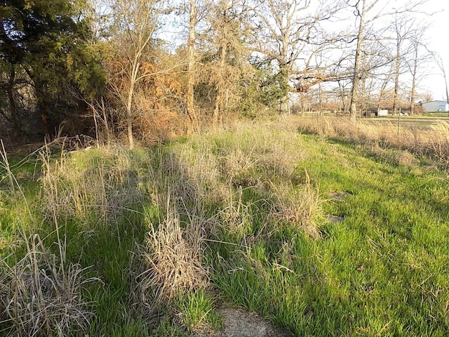 TBD Rs County Road 3410, Emory, TX 75440