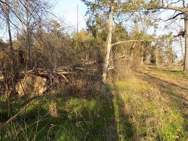 TBD Rs County Road 3410, Emory, TX 75440