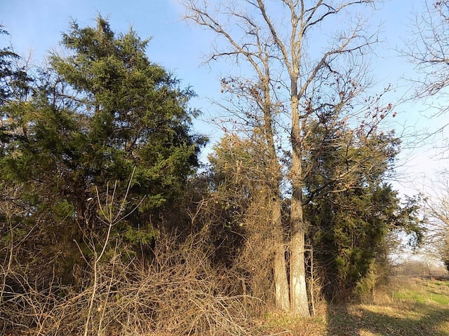 TBD Rs County Road 3410, Emory, TX 75440