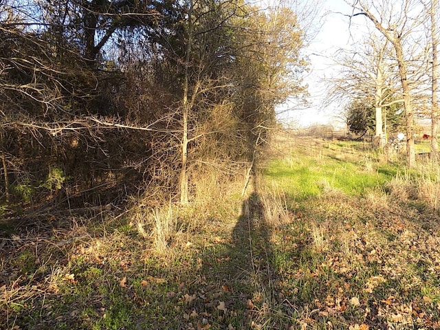 TBD Rs County Road 3410, Emory, TX 75440