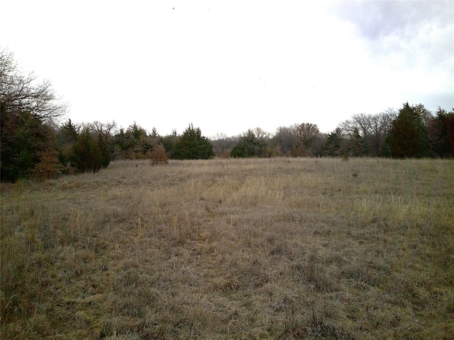 Listing photo 3 for TR1 State Highway 59, Montague TX 76251