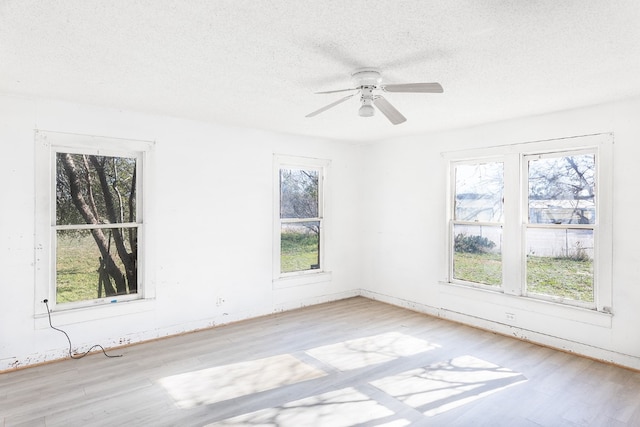 spare room featuring ceiling fan, light wood-type flooring, and a textured ceiling