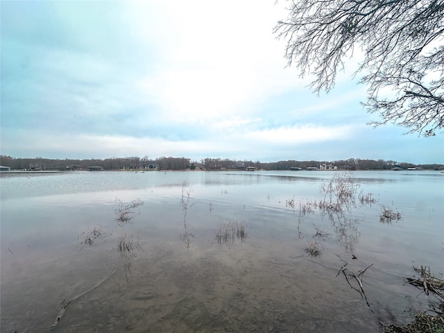 Listing photo 2 for LOT249 The Shores Dr, Corsicana TX 75109