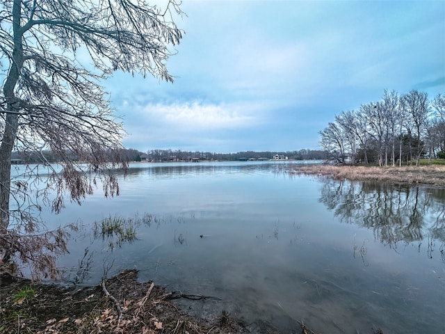 Listing photo 3 for LOT249 The Shores Dr, Corsicana TX 75109