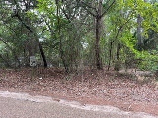 Listing photo 3 for 3606 County Rd 3606, Brownsboro TX 75756