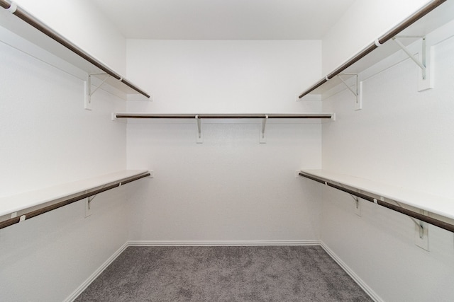 spacious closet featuring carpet flooring