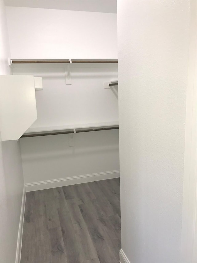 spacious closet with dark wood-type flooring