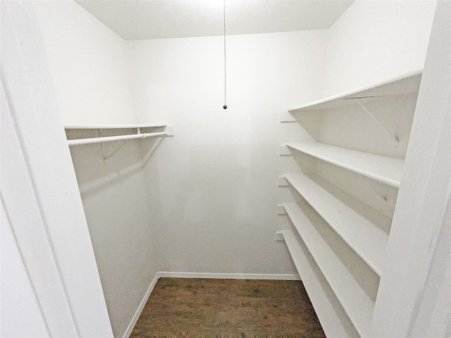 walk in closet with dark carpet