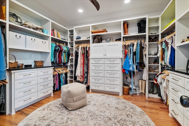 walk in closet featuring light hardwood / wood-style floors