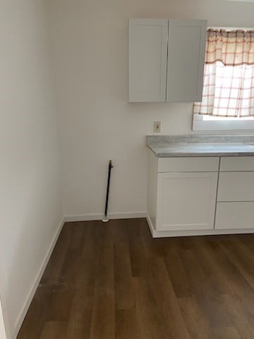 washroom featuring dark wood-type flooring