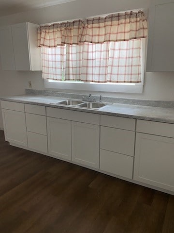 kitchen featuring sink, dark hardwood / wood-style flooring, and white cabinetry