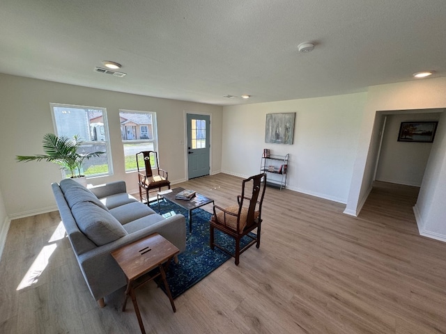 living room with plenty of natural light and light hardwood / wood-style floors