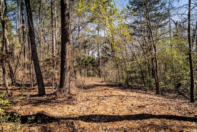 Listing photo 3 for TBD County Road 47, Tyler TX 75704