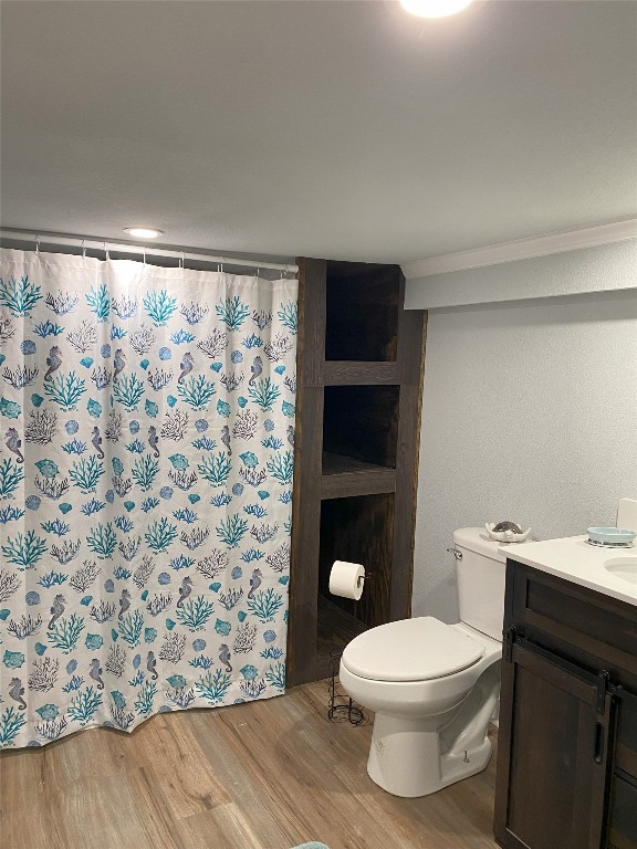 bathroom with toilet, hardwood / wood-style flooring, and vanity