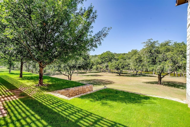 view of community featuring a yard