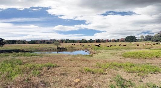 Listing photo 3 for TBD State Highway 19, Athens TX 75752