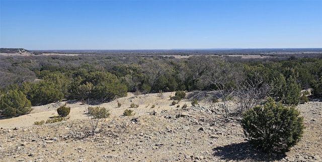 TBD County Road 205, Clyde TX, 79510 land for sale