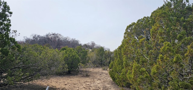 Listing photo 3 for TBD County Road 205, Clyde TX 79510